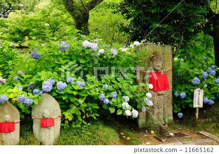 Yada Temple Misename Jizo and Hydrangea 11665162