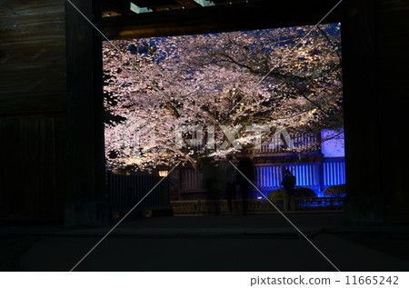 弘前城堡 11665242