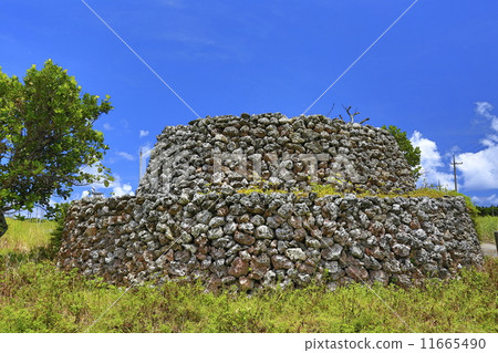 Court Sheng 11665490