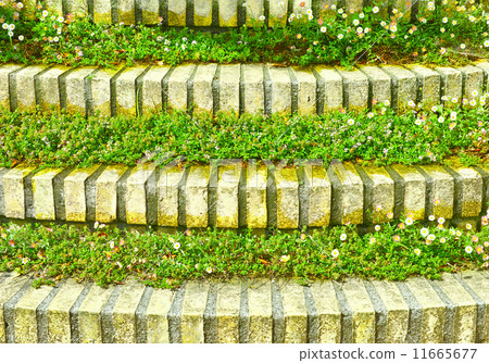 The stairs where the grass grew The stairs where the grass grew 11665677