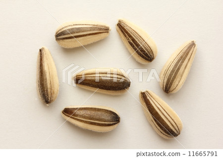Sunflower seeds 11665791