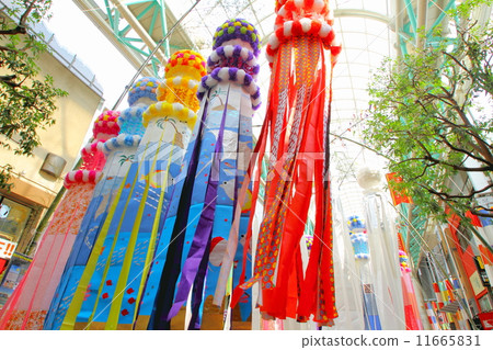 Sendai Tanabata 11665831