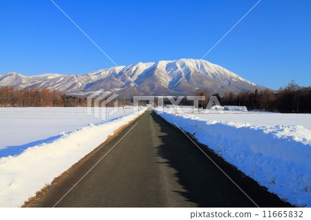 岩手山火山冬季和一條路 11665832