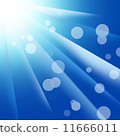 light  11666011