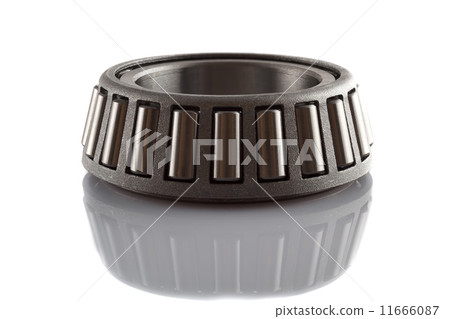 bearing  11666087