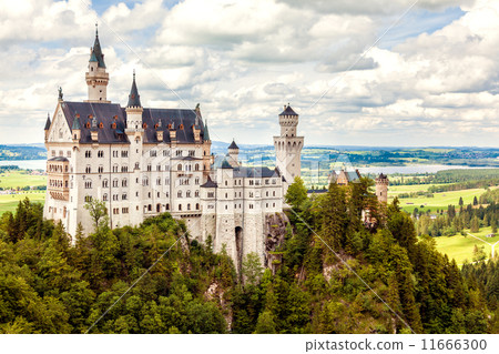 Neuschwanstein castle Neuschwanstein castle 11666300