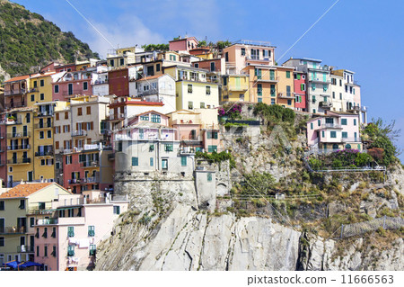 Manorola Manorola 11666563