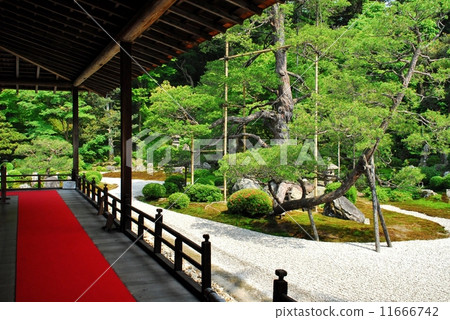 The garden view of the Kyoto Mamonin The garden view of the Kyoto Mamonin 11666742