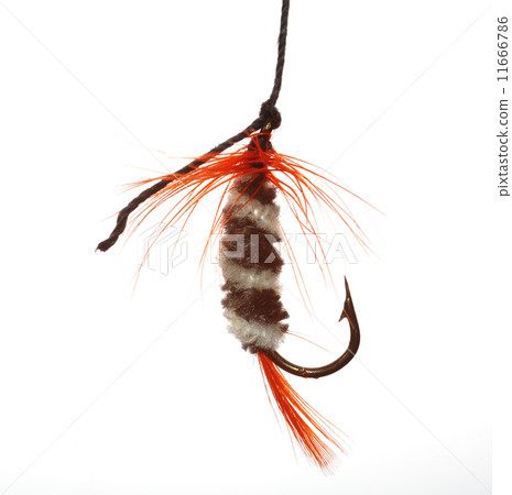 fishhook  11666786