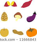Autumn fruits and vegetables 11666843