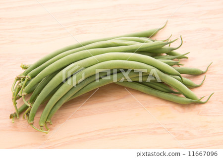 綠豆 綠豆 11667096