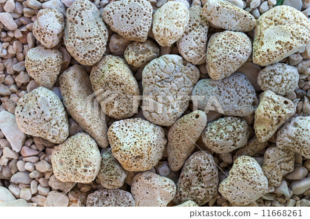 Holey stones on a beach Holey stones on a beach 11668261