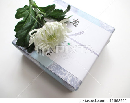 退還退貨退貨 11668521