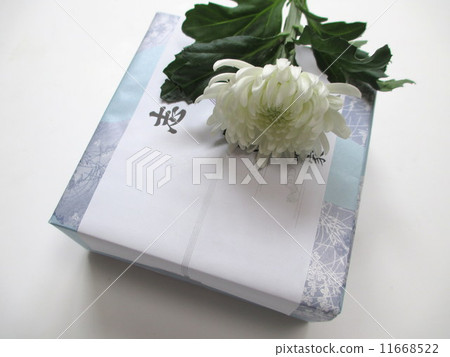 退還退貨退貨 11668522