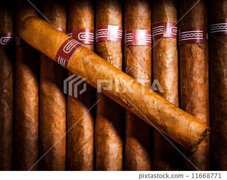 Cigars in humidor 11668771