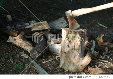 Axe in Wood Axe in Wood 11669449