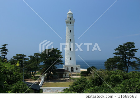 日光燈塔 11669568