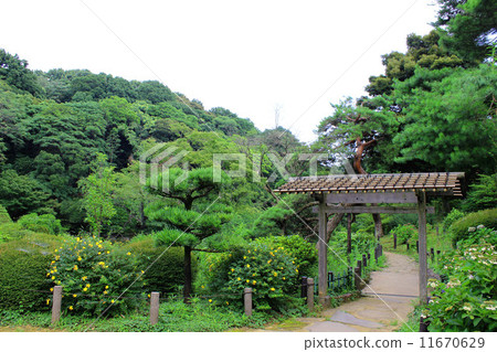 New Edogawa Park 11670629