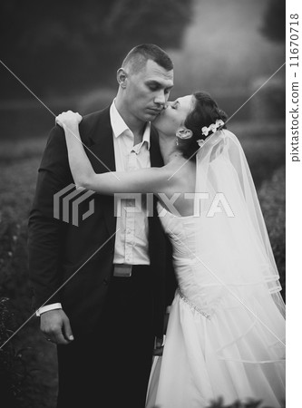 Portrait of bride kissing groom in cheek Portrait of bride kissing groom in cheek 11670718