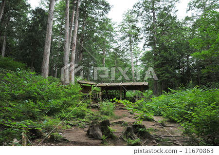 Nagano Prefecture Kiso-gun Akazawa natural recreation forest Kamiki logging site Nagano Prefecture Kiso-gun Akazawa natural recreation forest Kamiki logging site 11670863