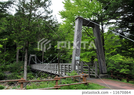 長野縣木曾郡赤澤自然休閒森林赤澤橋 長野縣木曾郡赤澤自然休閒森林赤澤橋 11670864