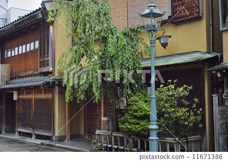 茶屋街道金澤 11671386