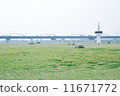 淀川公園 11671772