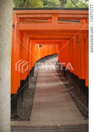 Fushimi Inari Taisha Shingen Torii Torii 11671777