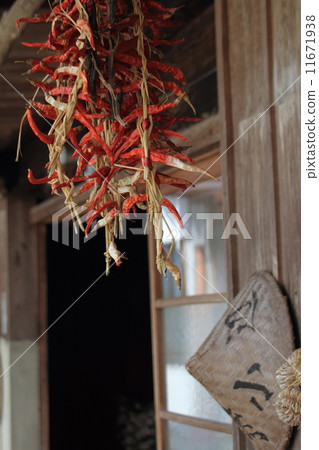 Nobus Village 11671938