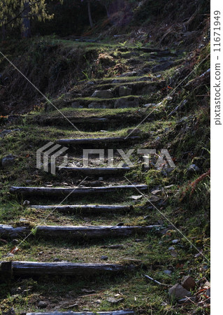 Nobus Village 11671949