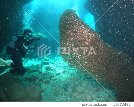 Kimmododoki國家公園Kerama海島洞潛水海沖繩 11672422