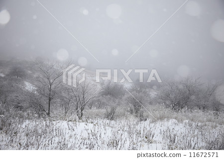 Kirigamine plateau where the snow falls Kirigamine plateau where the snow falls 11672571