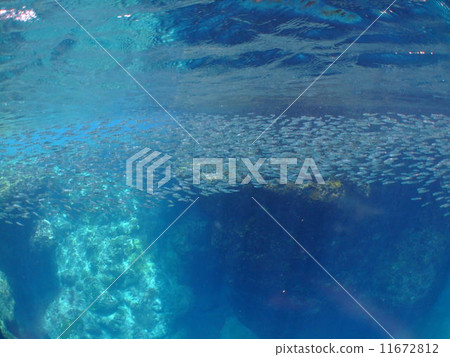 Kibinago Geography Blue Blue Okinawa National Park Kerama Islands Kibinago Geography Blue Blue Okinawa National Park Kerama Islands 11672812