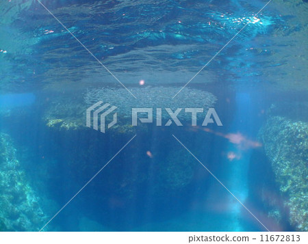 Kibinago地理藍色沖繩國家公園Kerama群島 Kibinago地理藍色沖繩國家公園Kerama群島 11672813