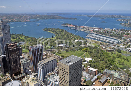 Port Jackson Bay 11672938