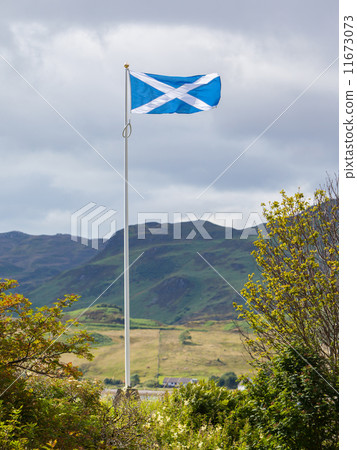 Scotland flag waving in the wind Scotland flag waving in the wind 11673073
