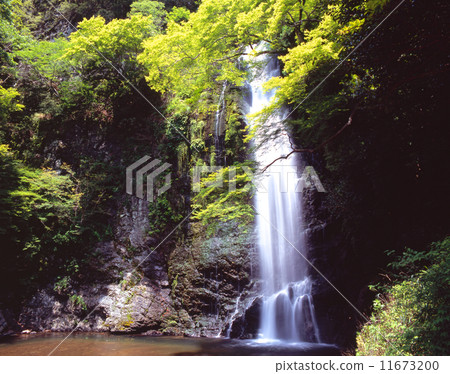 新鮮的綠色加深的美濃瀑布（Minotaoki，Mino no taki）“百日瀑布”“明治之森美濃準國家公園” 11673200