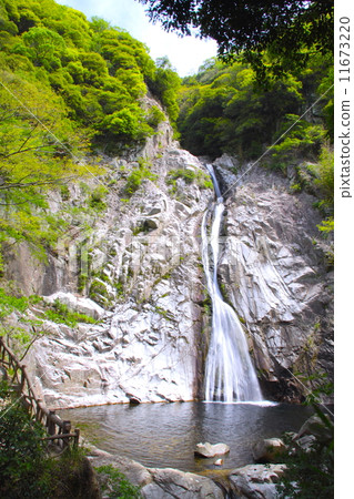 Hidetaki Falls(大瀧/大瀧)“日本100瀑布”和新綠/百水噴泉/日本兵庫縣神戶市三Ogiki瀑布 Hidetaki Falls(大瀧/大瀧)“日本100瀑布”和新綠/百水噴泉/日本兵庫縣神戶市三Ogiki瀑布 11673220