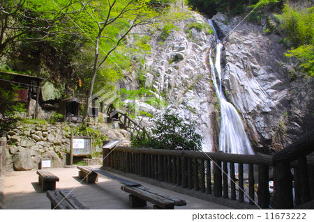Hidetaki Falls (Otaki / Otaki) "100 Waterfalls in Japan" and New Green / One Hundred Water Fountains / Japan Three Ogiki Falls / Kobe City, Hyogo Prefecture Hidetaki Falls (Otaki / Otaki) "100 Waterfalls in Japan" and New Green / One Hundred Water Fountains / Japan Three Ogiki Falls / Kobe City, Hyogo Prefecture 11673222