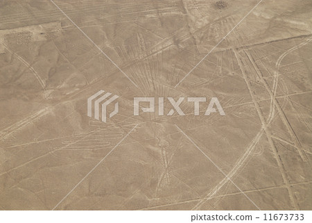 Peru Nasca ground drawing condor 11673733