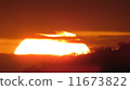 日出 11673822