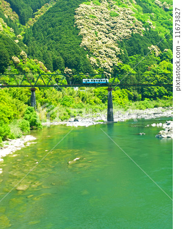 Shimanto's iron bridge Shimanto's iron bridge 11673827