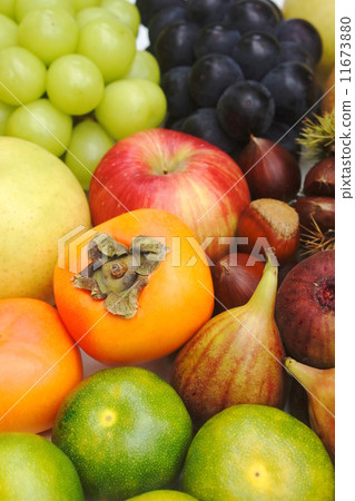 Autumn taste 11673880