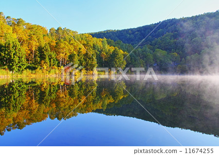 Kidoike秋葉 11674255