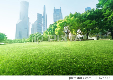 park in  lujiazui financial center, Shanghai, China 11674642