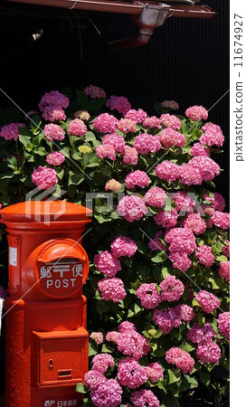 Kamakura Post and hydrangea Kamakura Post and hydrangea 11674927