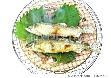 季節性味道·鹽烤香魚與桑拿葉子上的紫蘇葉子·白色背面側身位置俯瞰 11675480