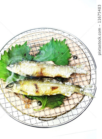 季節性味道·鹽味香魚與桑拿葉子上的紫蘇葉子·白背垂直位置鳥瞰圖 季節性味道·鹽味香魚與桑拿葉子上的紫蘇葉子·白背垂直位置鳥瞰圖 11675483