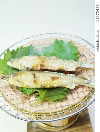 季節性味道·在桑拿浴室頂部的紫蘇葉凋落物的鹽烤香魚·白背垂直位置傾斜的鳥瞰圖 季節性味道·在桑拿浴室頂部的紫蘇葉凋落物的鹽烤香魚·白背垂直位置傾斜的鳥瞰圖 11675488