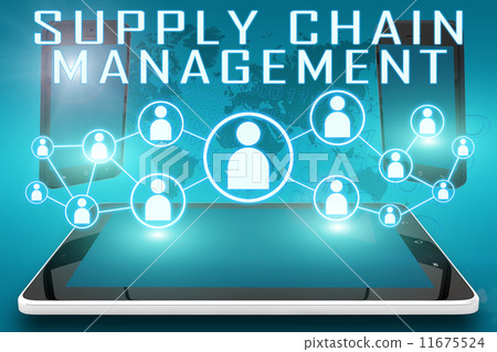 Supply Chain Management 11675524